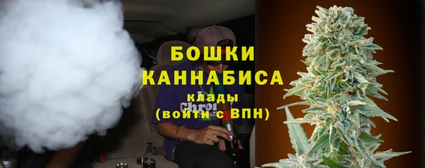 МДПВ Пестово