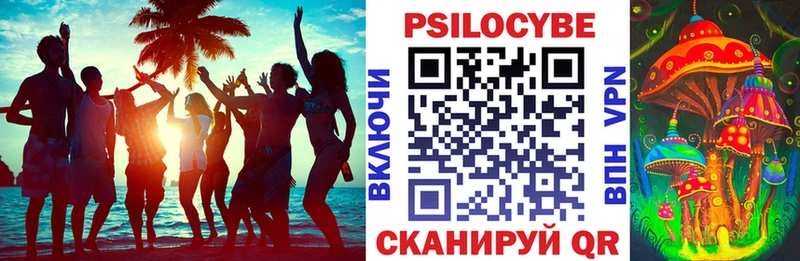 Псилоцибиновые грибы прущие грибы  Слюдянка 